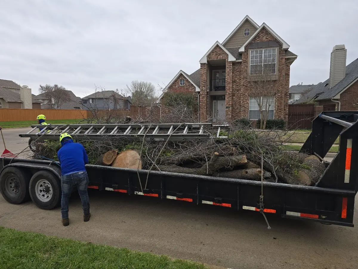 Expert Tree Fertilization with proper safety equipment in Caryville